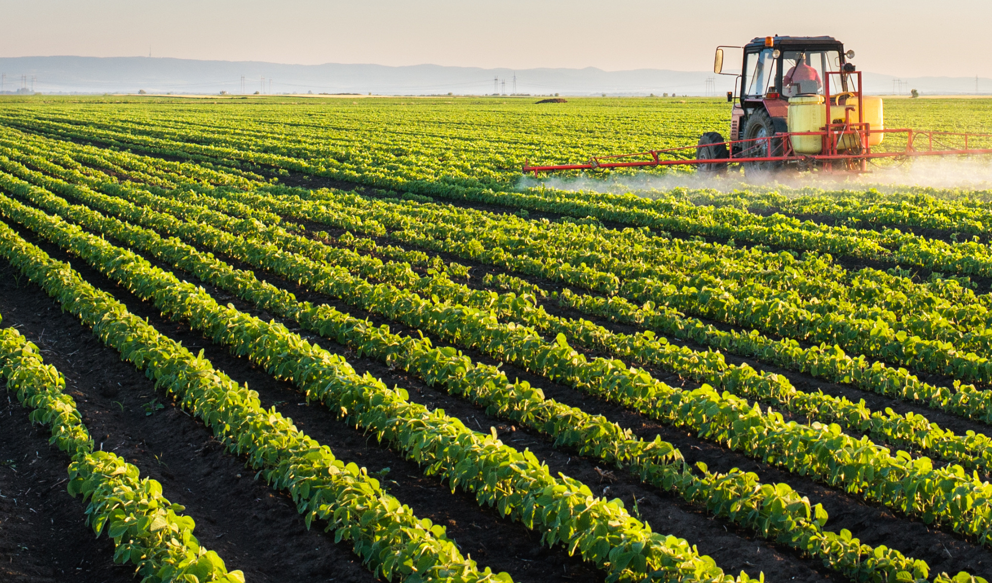 BANDO PER LE AGEVOLAZIONI FINANZIARIE ALLE IMPRESE AGRICOLE PER IL CREDITO DI FUNZIONAMENTO - 2024